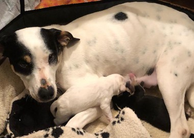 60703066 381503642459649 2400974043739062272 n