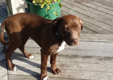 64884264 2353489608046853 1553453906770526208 n