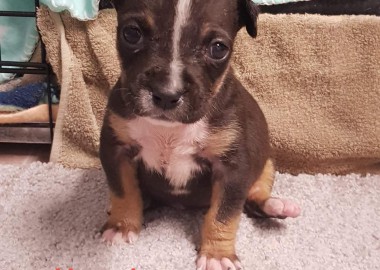 64918177 532130767319113 7090130066616614912 n