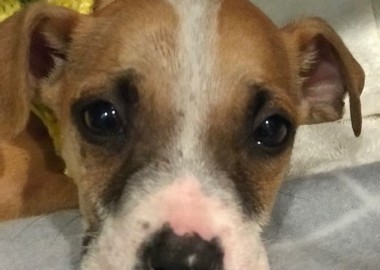 67354810 2365938526951469 1615805995705958400 n