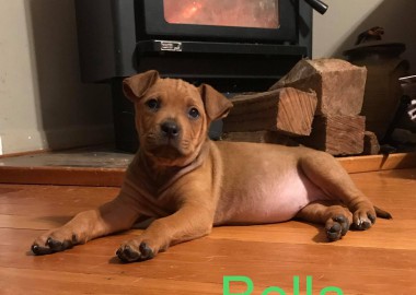 67496140 2653750471353877 2609147852990971904 n