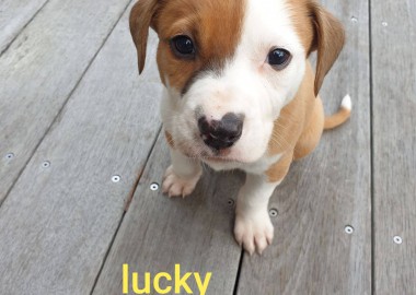 67519076 2424987317784615 7527201477849251840 n