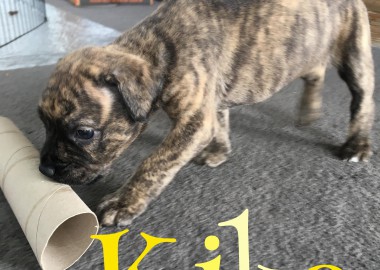 67616581 420687671877218 8250608493166329856 n