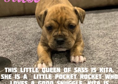 67617512 1305031972987300 7706144925095559168 n