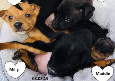 67618961 219517342292588 9149328638917738496 n 1