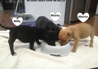 67627640 2423044561311441 2362157447872774144 n