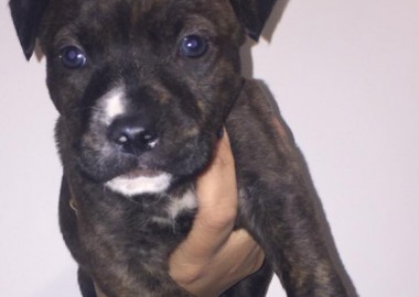 67715126 345267686413510 9145229255842463744 n