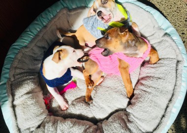 67730238 2372359726319042 6519779781465079808 n 1 v2