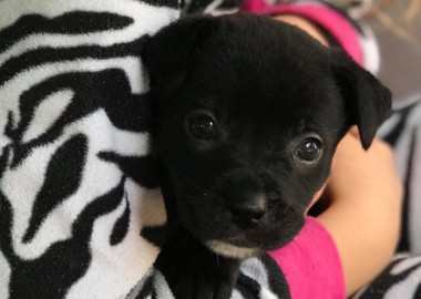 67833585 355519345391046 5818212773632409600 n