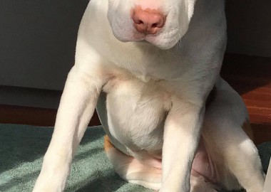 68340523 572386353292568 6728972249585418240 n