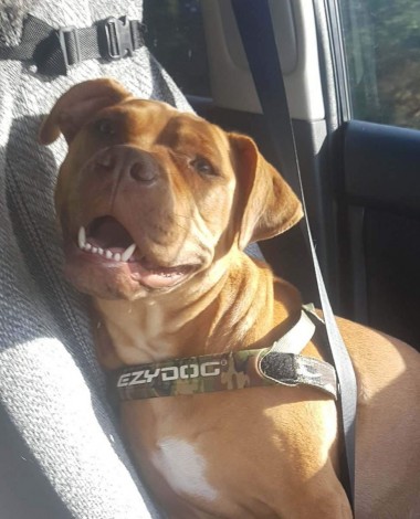 received 2335224809836464 e1530421791842